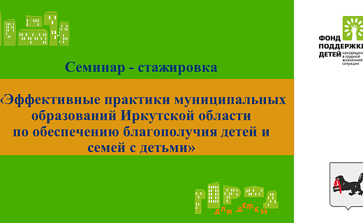 Семинар «Эффективные практики муниципальных образований Иркутской области по обеспечению благополучия детей и семей с детьми»